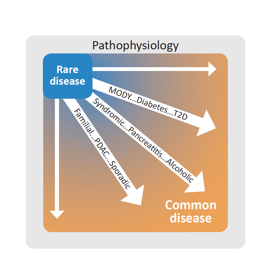 Quelle: IMOS Graphical representation of the pathophysiology